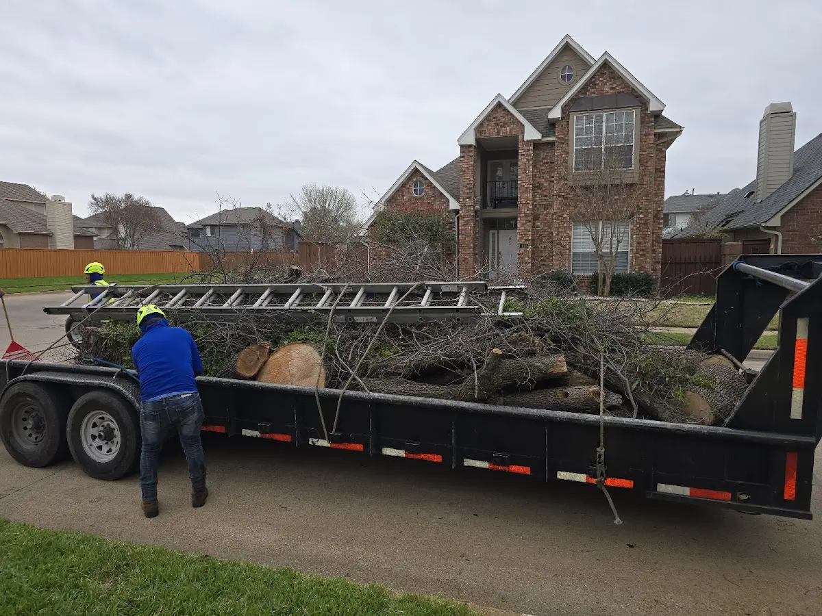 Expert Lot Clearing with proper safety equipment in Church View